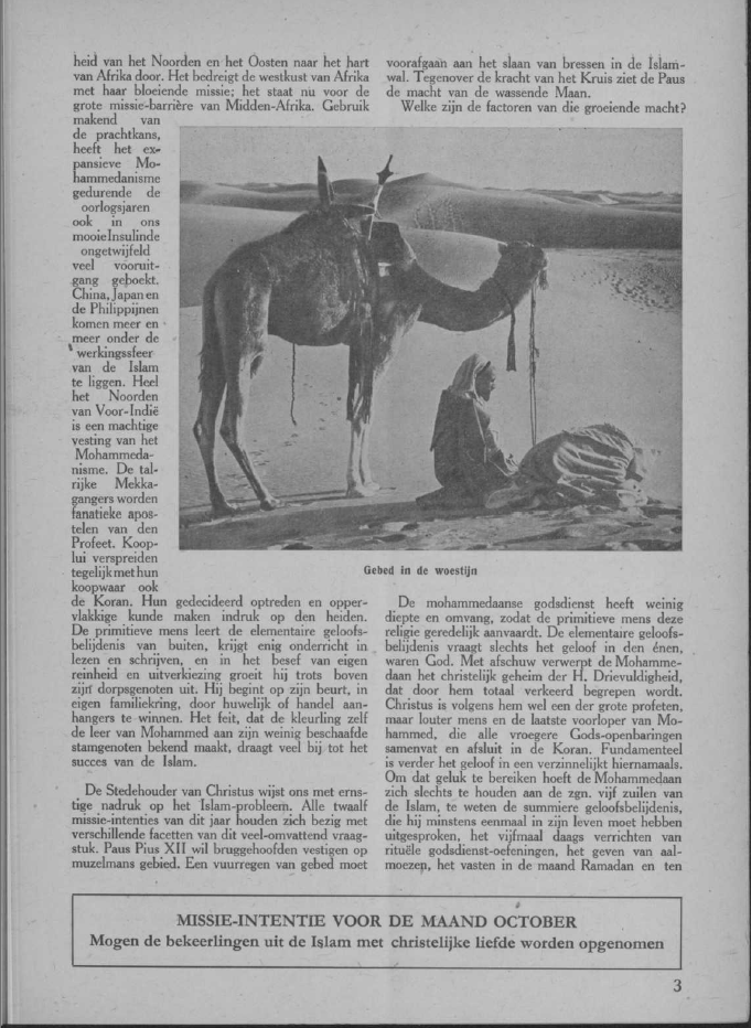 Ceulemans, Het Probleem van de Islam, Katholieke Missiën, 1946. Fonti Olandesi Coeve. Missionari Cattolici.